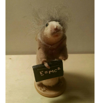 Illustration for article titled Reviews of an Etsy Seller Who Poses Dead Mice As Pop Culture Icons